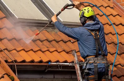 Démoussage et hydrofuge de toiture au Tanu